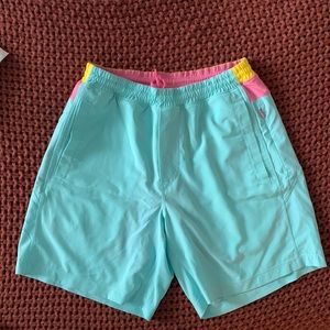 Men’s Birddogs bathing suit - teal, medium